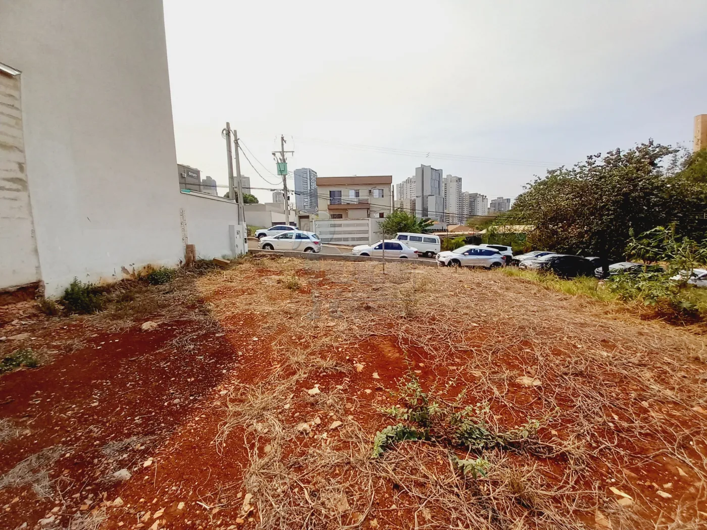 Alugar Terreno / Padrão em Ribeirão Preto R$ 3.100,00 - Foto 2