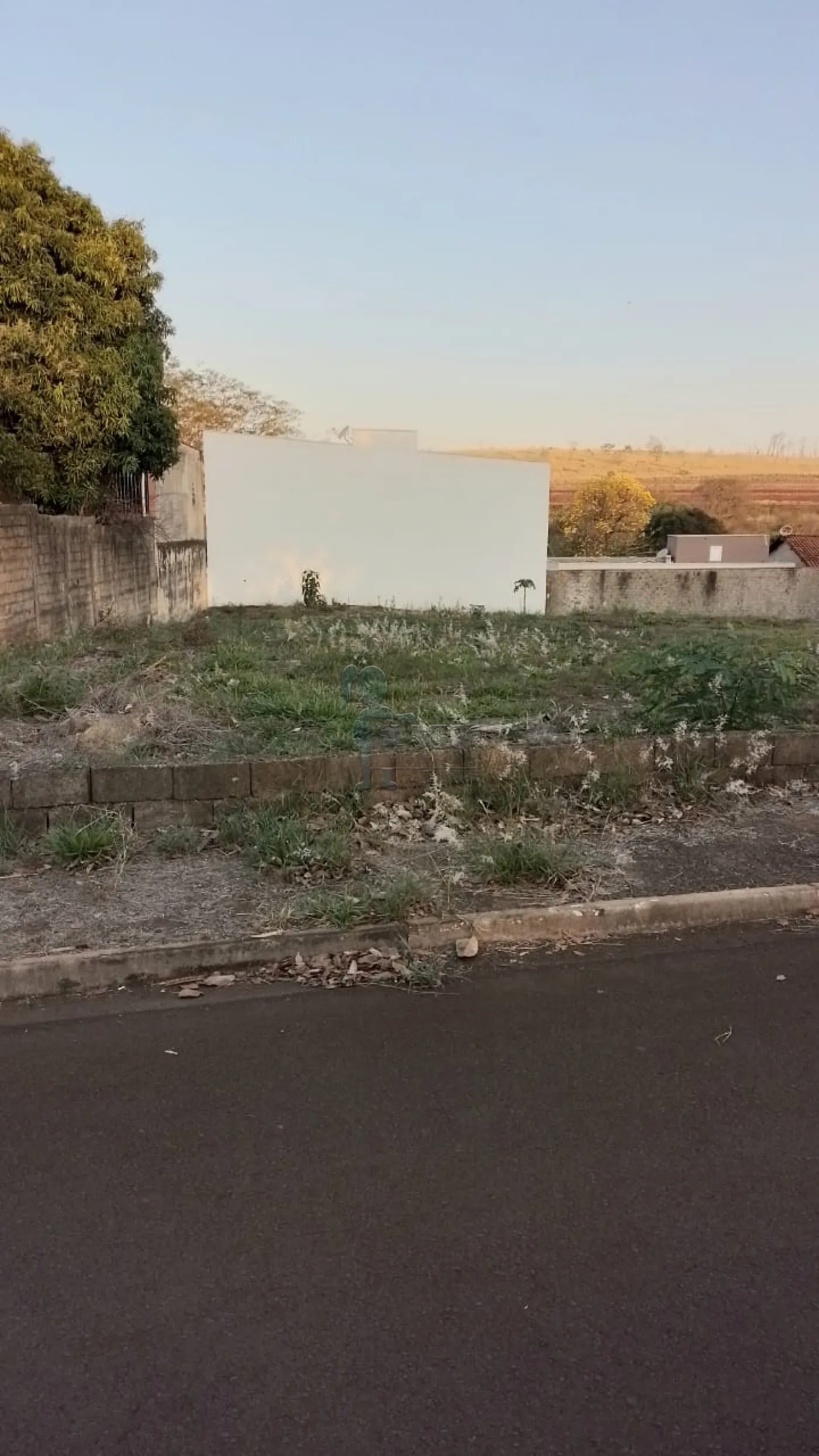 Comprar Terreno / Padrão em Ribeirão Preto R$ 235.000,00 - Foto 1