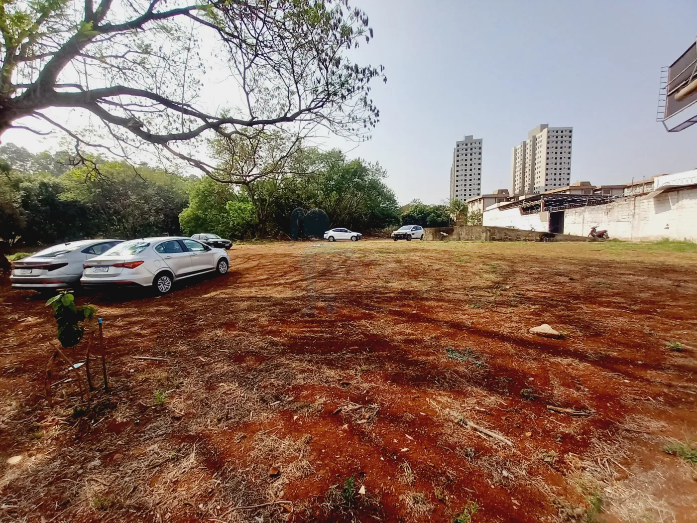 Alugar Terreno / Padrão em Ribeirão Preto R$ 7.000,00 - Foto 4