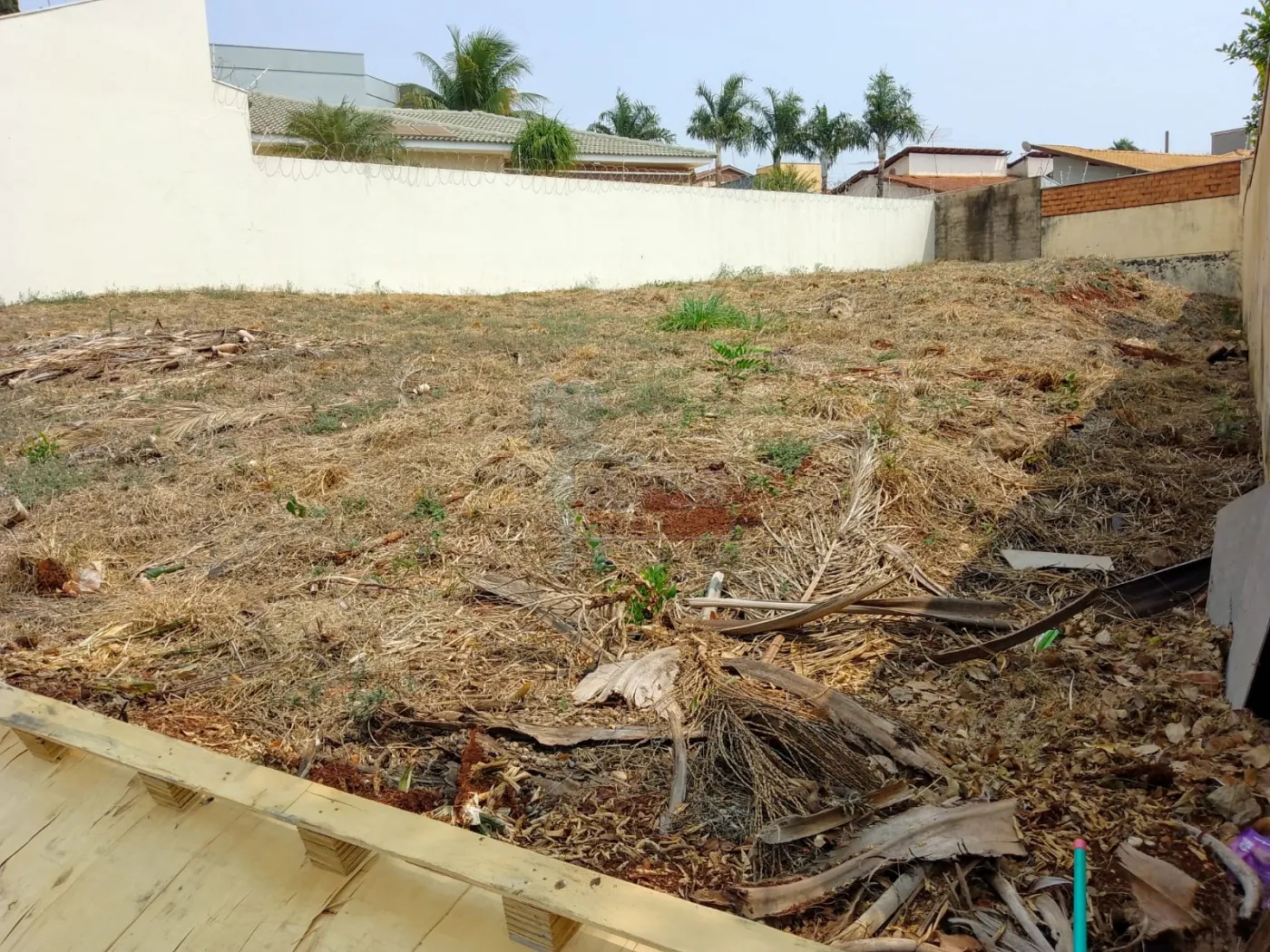 Comprar Terreno / Padrão em Ribeirão Preto R$ 380.000,00 - Foto 4