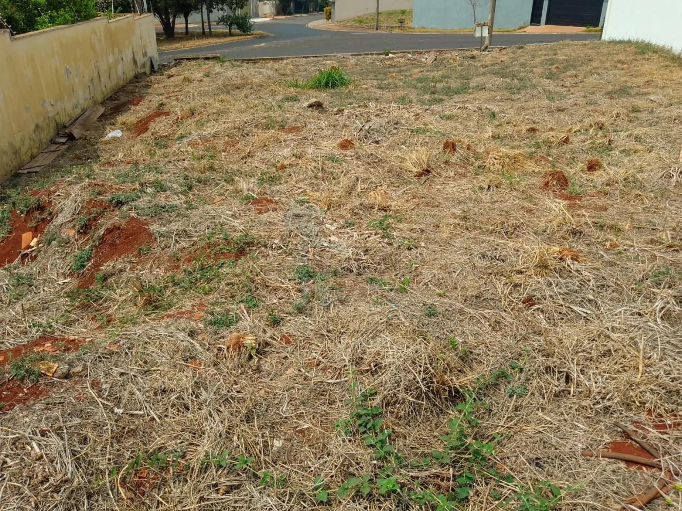 Comprar Terreno / Padrão em Ribeirão Preto R$ 380.000,00 - Foto 8