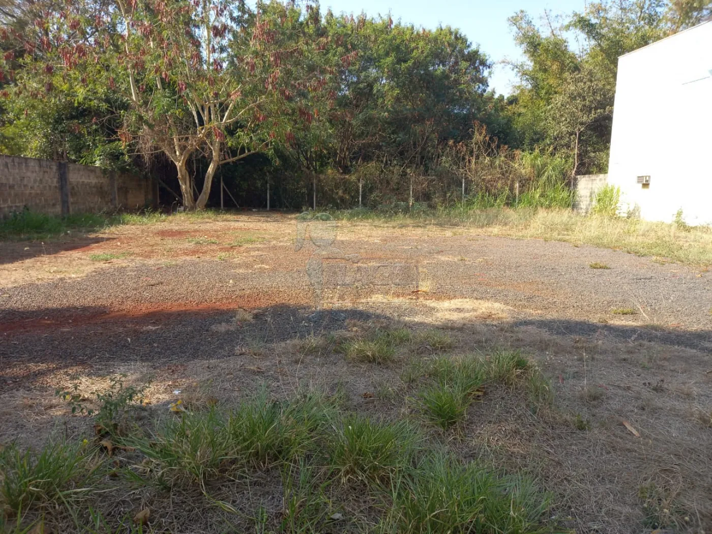 Alugar Terreno / Padrão em Ribeirão Preto R$ 1.900,00 - Foto 3