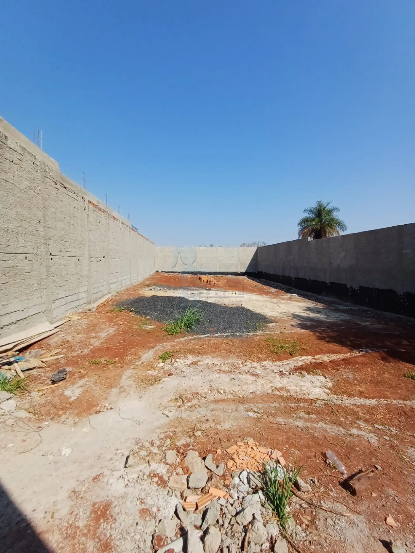 Comprar Terreno / Padrão em Ribeirão Preto R$ 220.000,00 - Foto 5