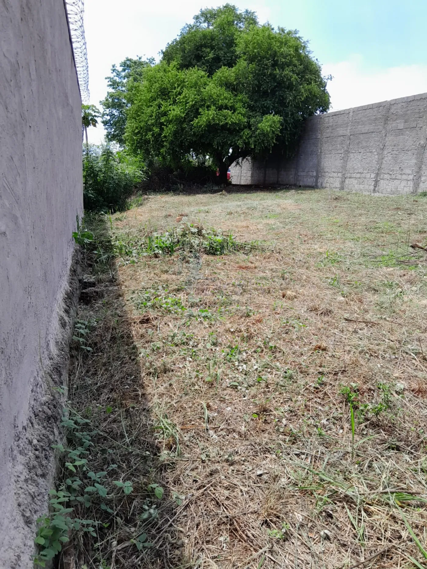 Comprar Terreno / Padrão em Ribeirão Preto R$ 215.000,00 - Foto 2