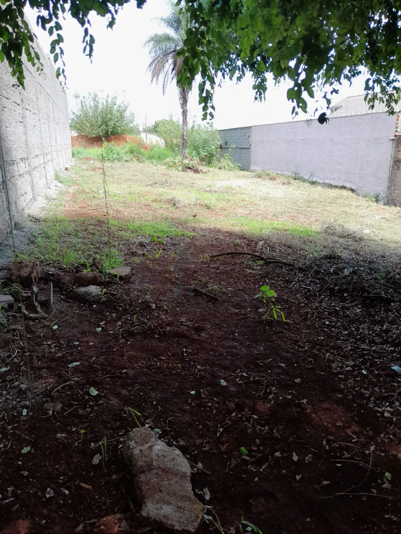 Comprar Terreno / Padrão em Ribeirão Preto R$ 215.000,00 - Foto 3