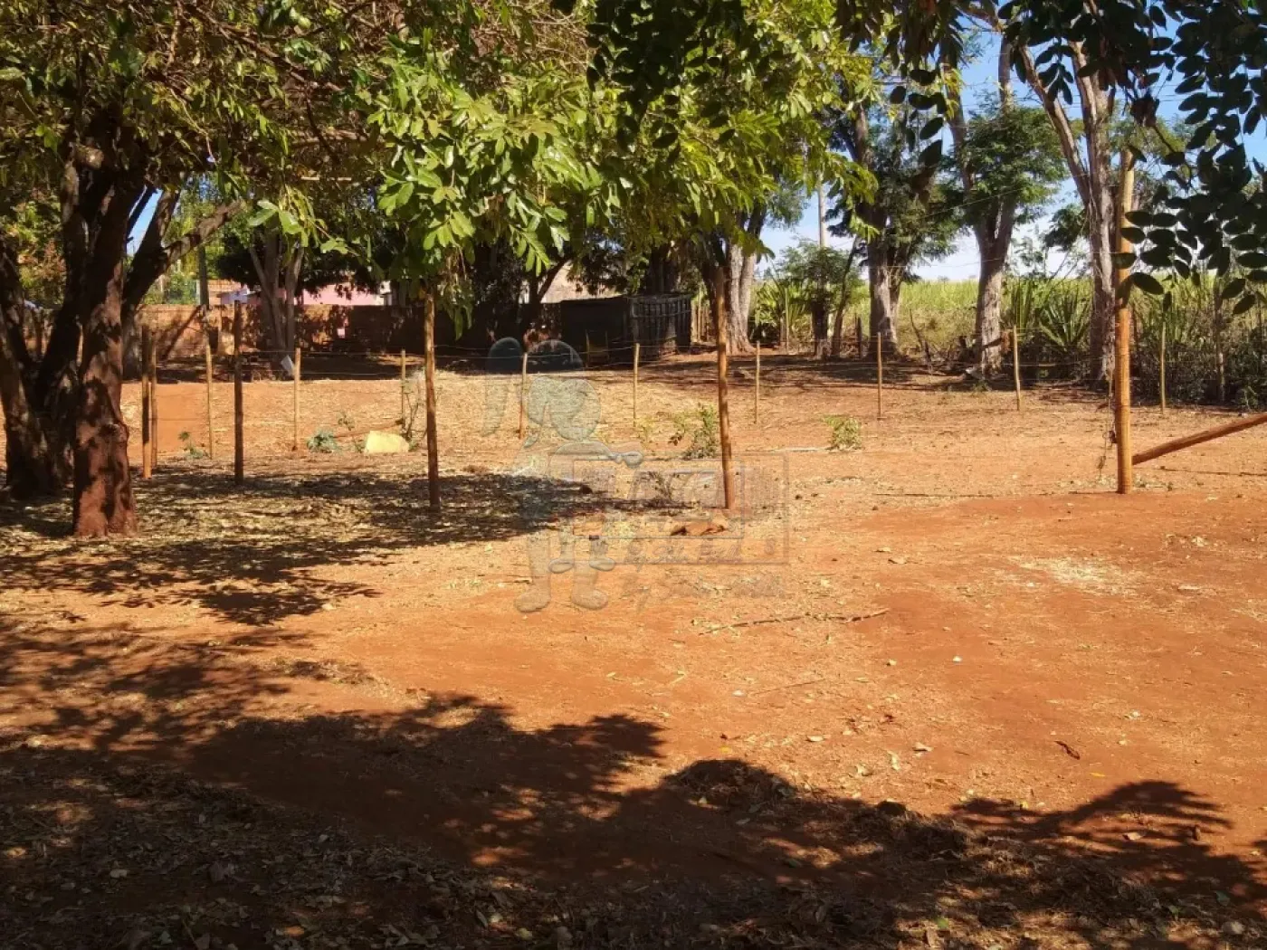 Comprar Rural / Chácara em Santa Cruz da Esperança R$ 530.000,00 - Foto 2