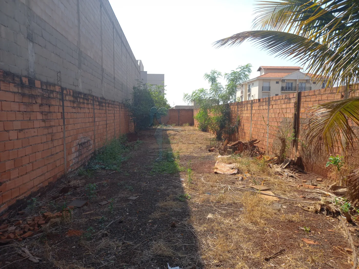 Comprar Terreno / Padrão em Ribeirão Preto R$ 159.000,00 - Foto 3