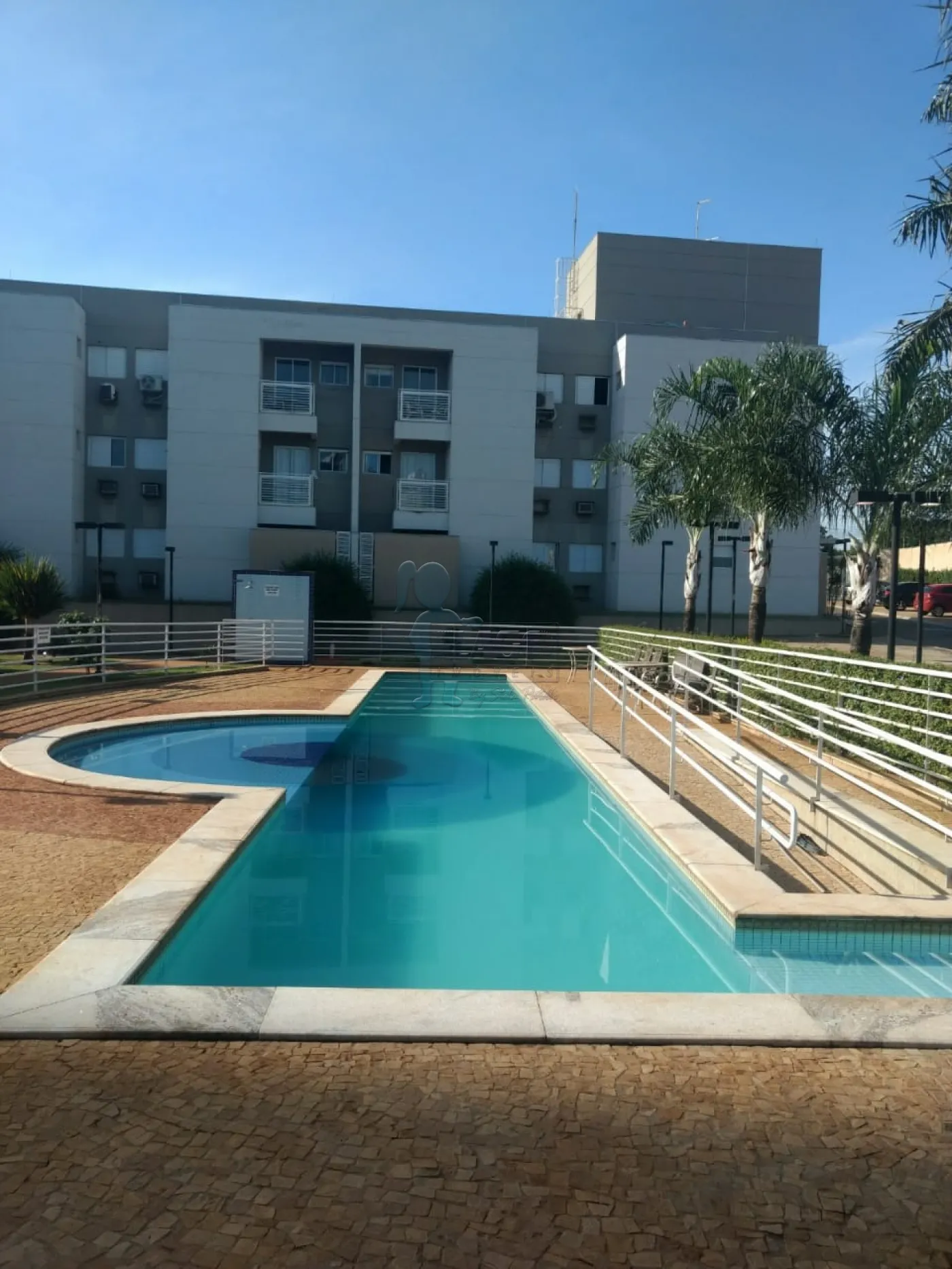 Alugar Apartamento / Padrão em Ribeirão Preto R$ 900,00 - Foto 1