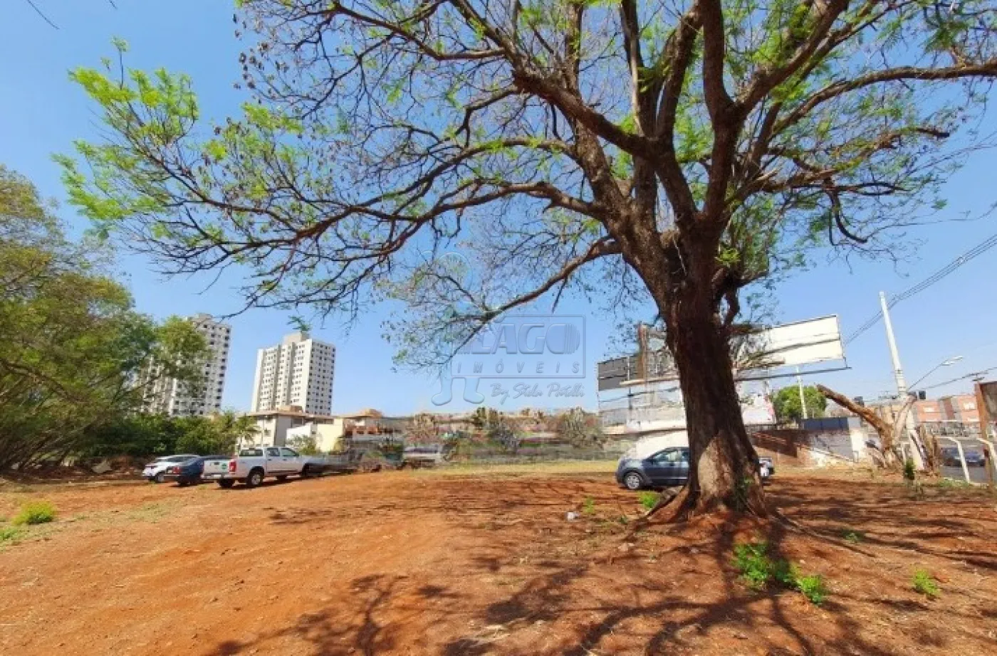 Alugar Terreno / Padrão em Ribeirão Preto R$ 7.000,00 - Foto 1