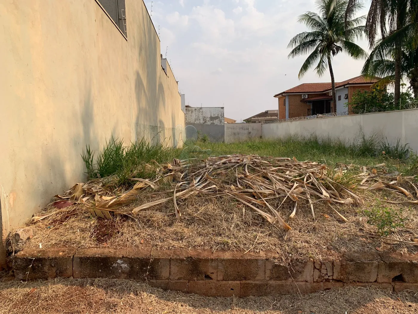 Comprar Terreno / Padrão em Ribeirão Preto R$ 450.000,00 - Foto 3