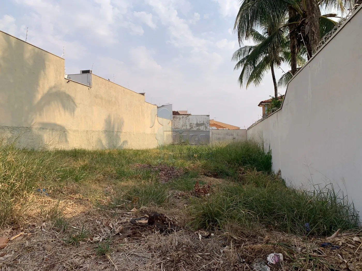 Comprar Terreno / Padrão em Ribeirão Preto R$ 450.000,00 - Foto 4