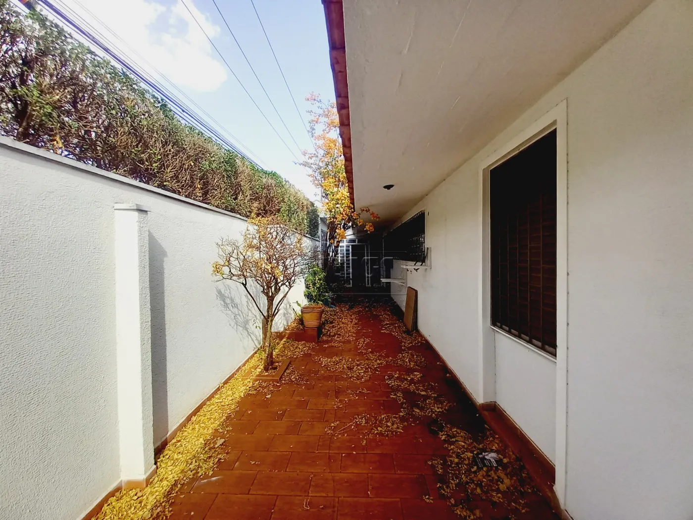 Alugar Comercial padrão / Casa comercial em Ribeirão Preto R$ 5.500,00 - Foto 24