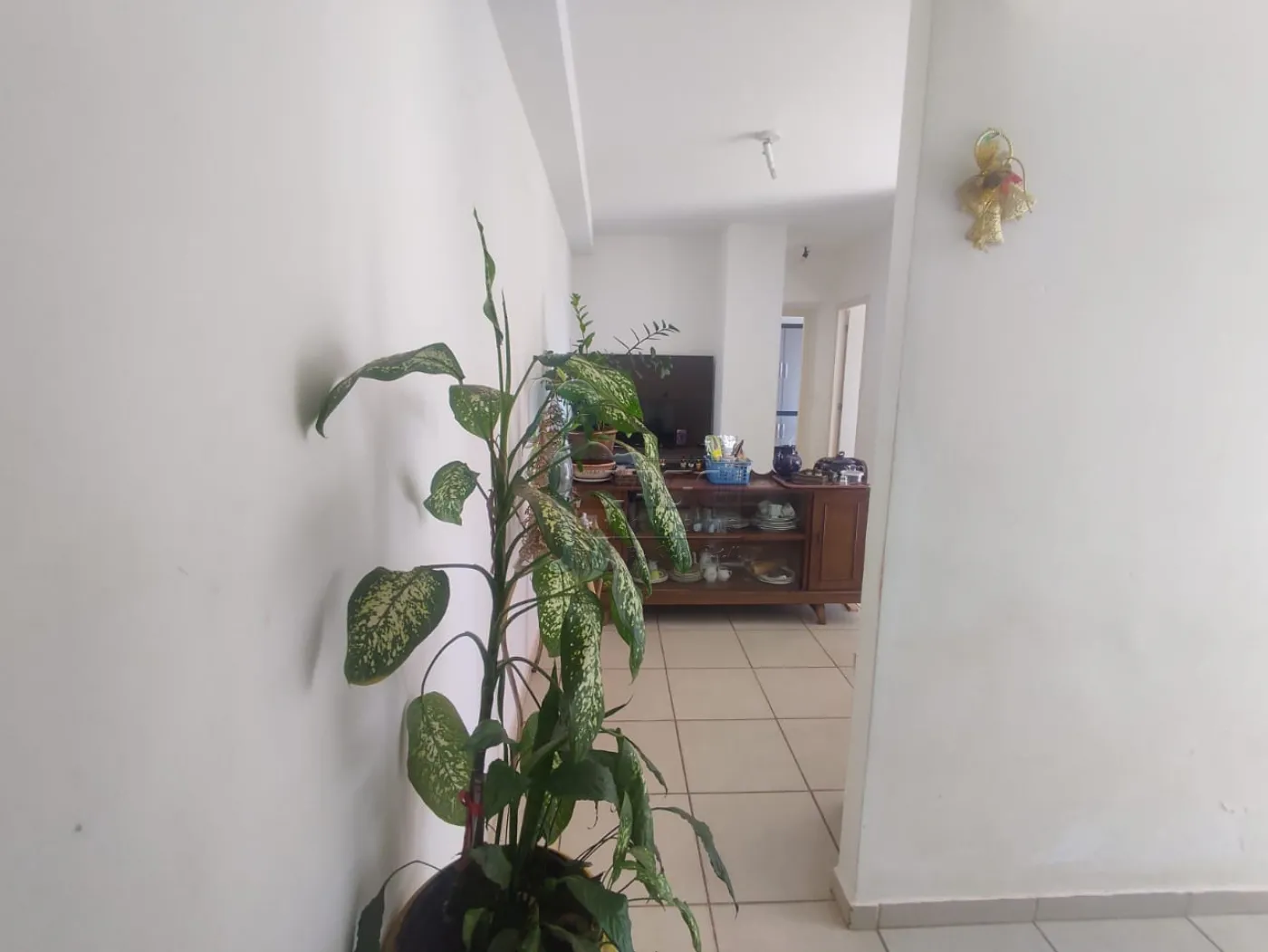 Comprar Apartamento / Padrão em Ribeirão Preto R$ 305.000,00 - Foto 3