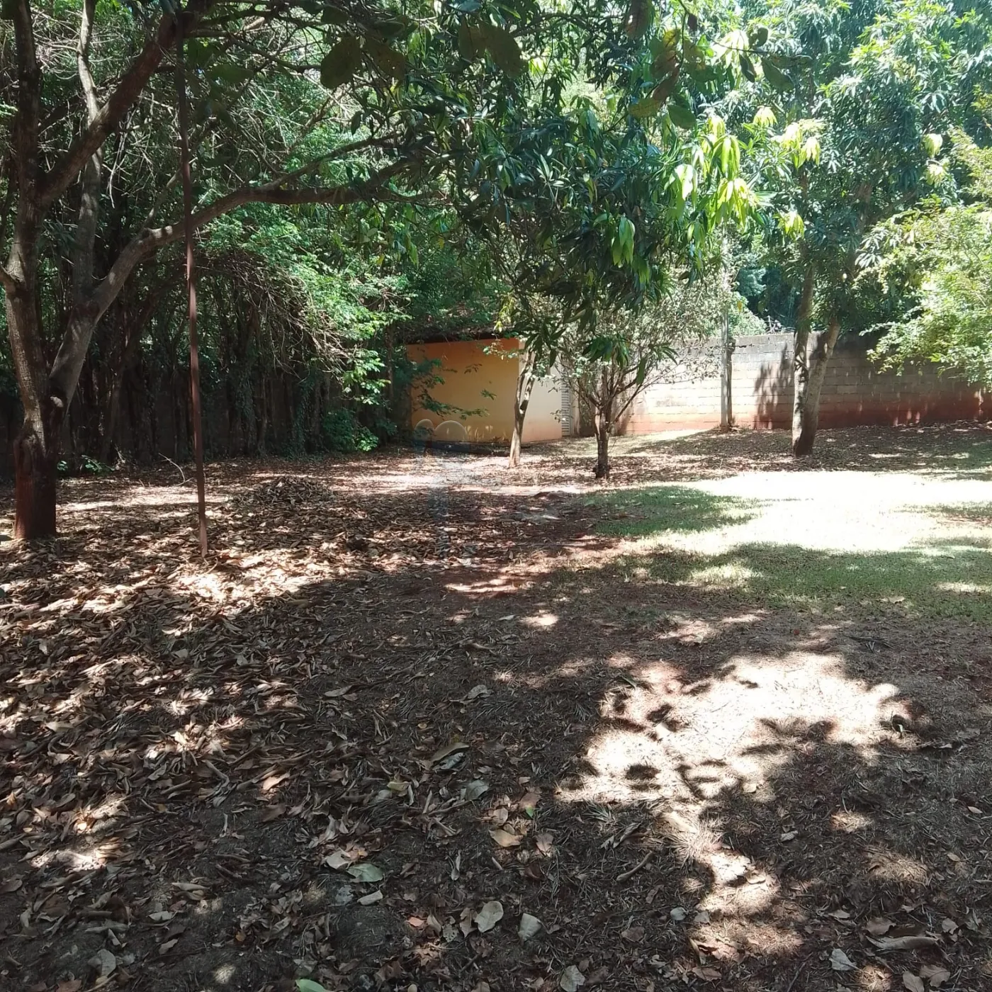 Comprar Terreno / Padrão em Ribeirão Preto R$ 490.000,00 - Foto 5