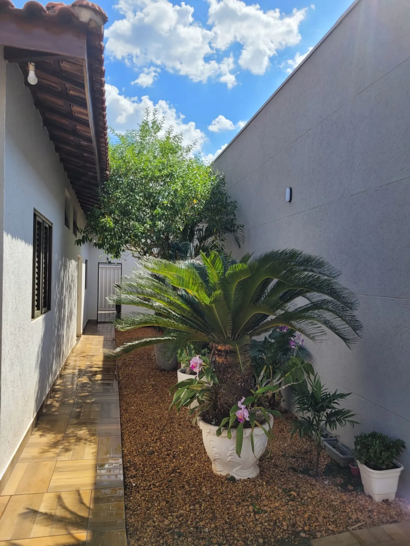 Comprar Casa / Padrão em Ribeirão Preto R$ 520.000,00 - Foto 34