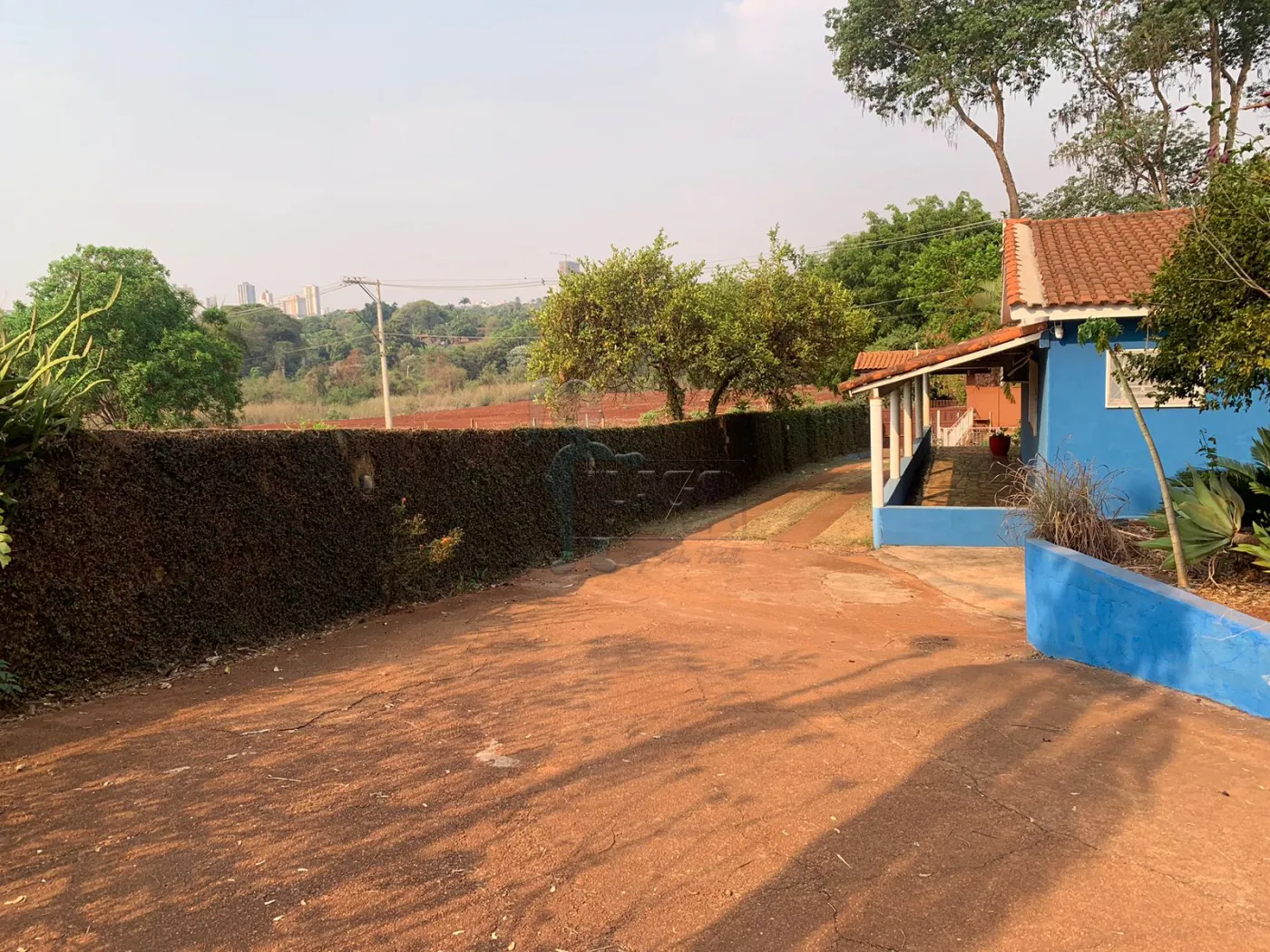 Alugar Rural / Chácara em Ribeirão Preto R$ 5.200,00 - Foto 15