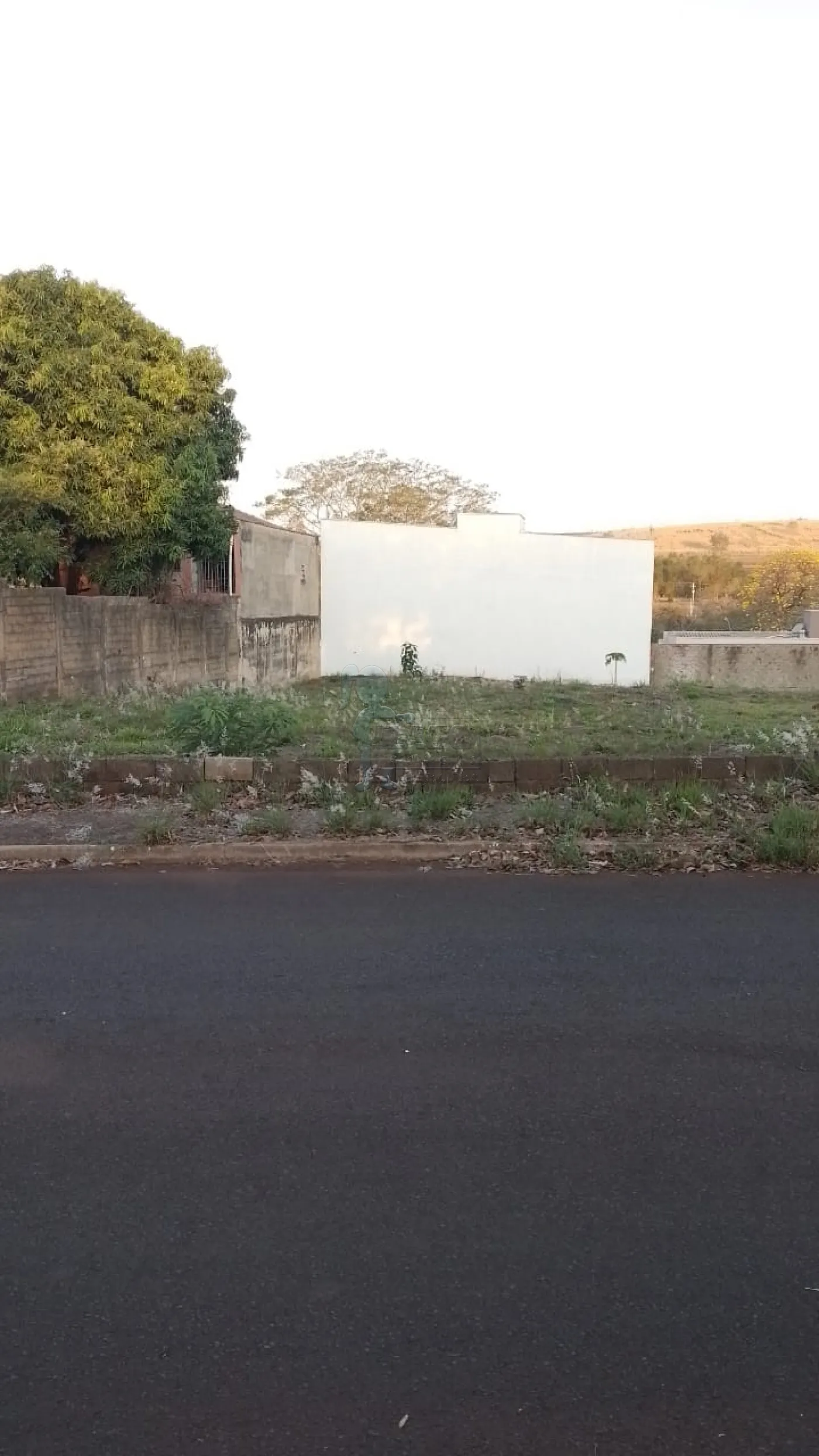 Comprar Terreno / Padrão em Ribeirão Preto R$ 240.000,00 - Foto 3