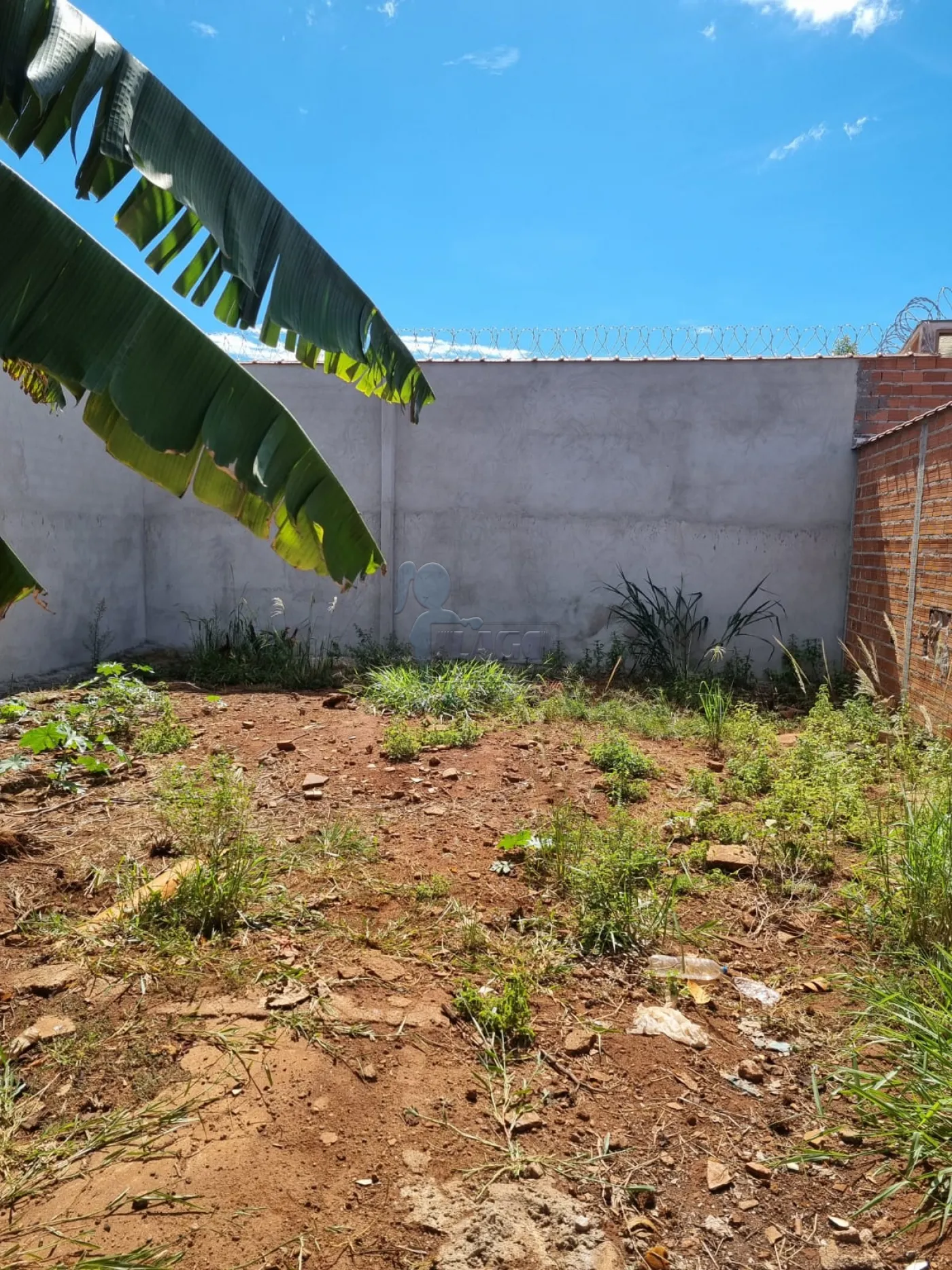 Comprar Terreno / Padrão em Ribeirão Preto R$ 200.000,00 - Foto 1