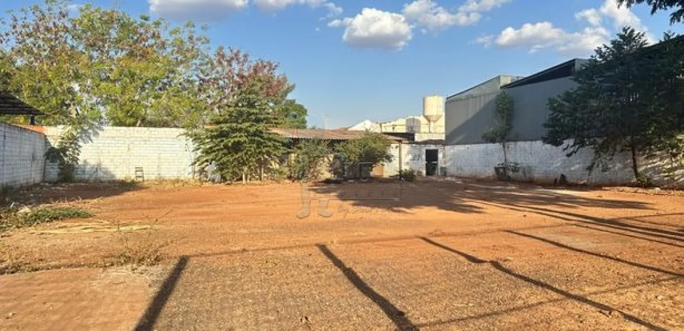 Alugar Comercial padrão / Loja em Ribeirão Preto R$ 6.500,00 - Foto 1