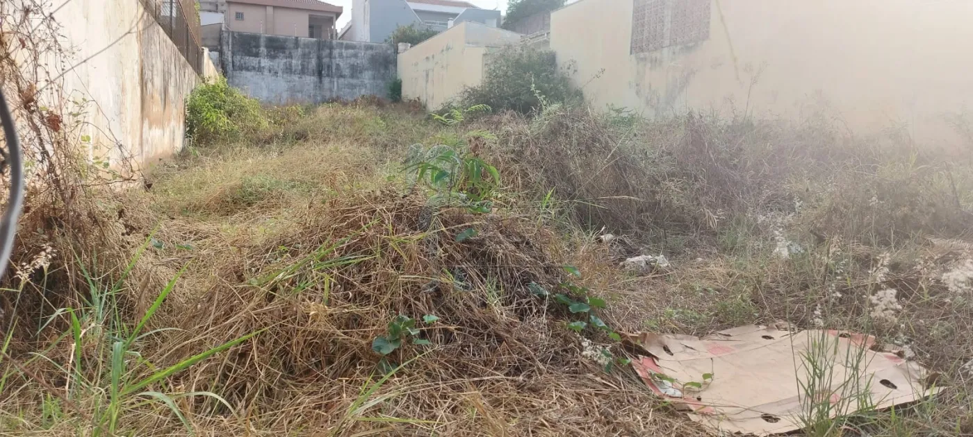 Comprar Terreno / Padrão em Sertãozinho R$ 390.000,00 - Foto 2