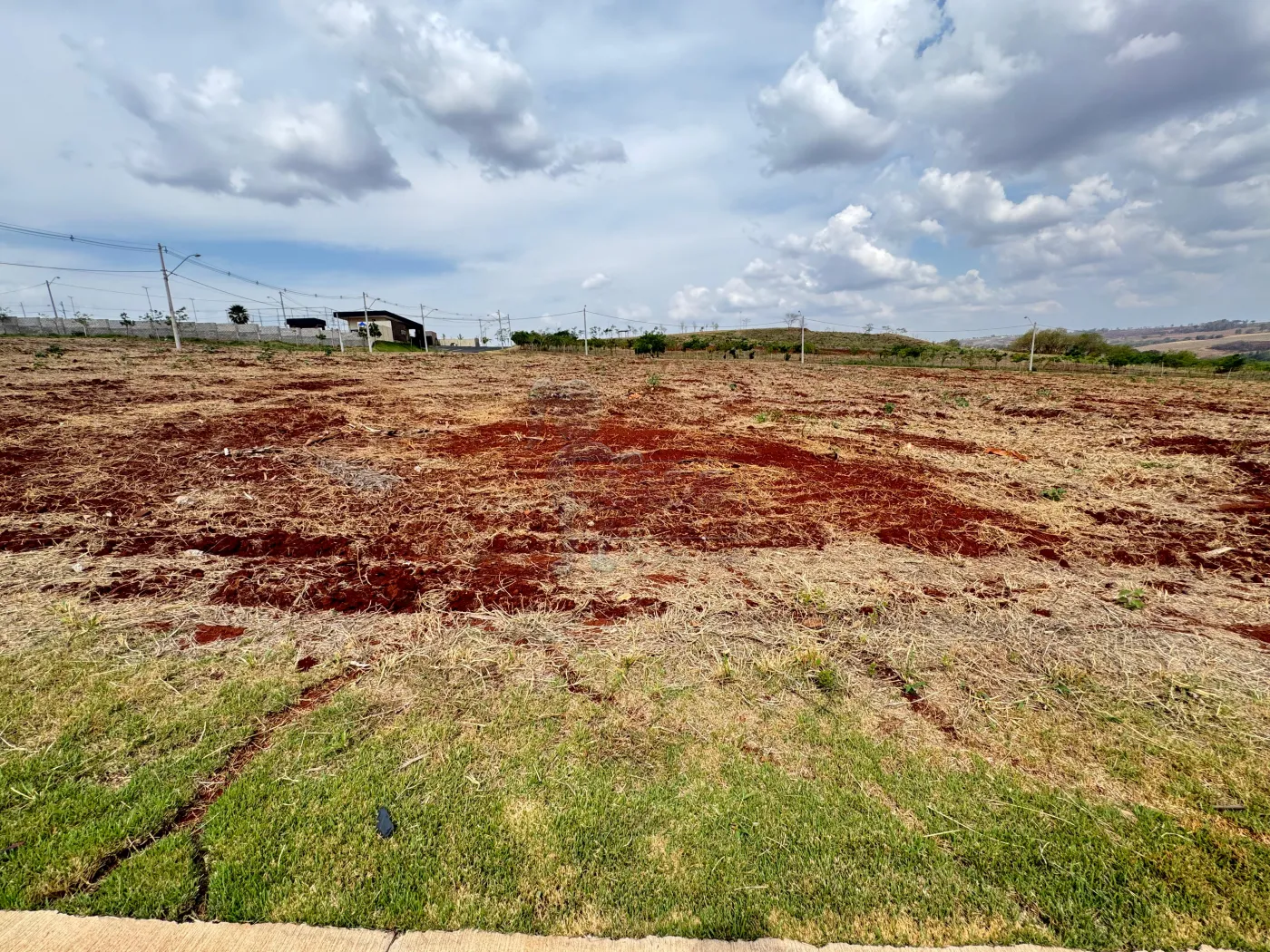 Comprar Terreno / Comercial em RIBEIRÃO PRETO R$ 460.000,00 - Foto 1