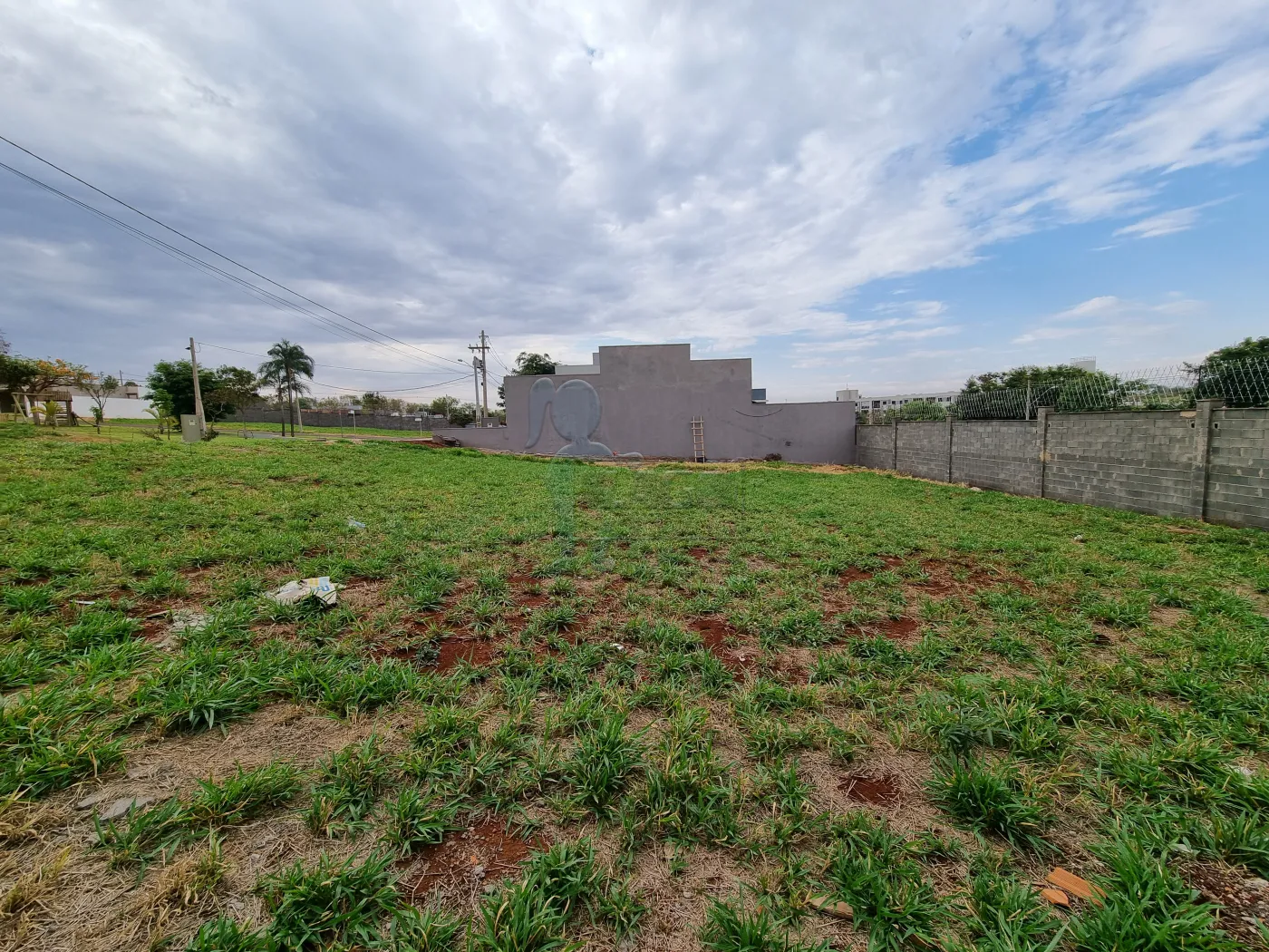 Comprar Terreno / Condomínio em Bonfim Paulista R$ 170.000,00 - Foto 2