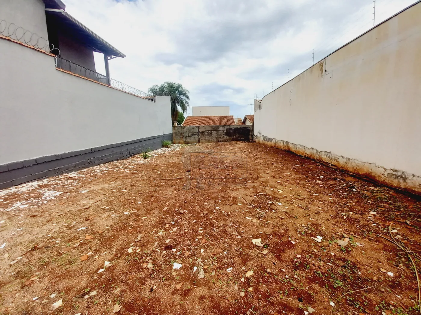 Comprar Terreno / Padrão em Ribeirão Preto R$ 245.000,00 - Foto 6