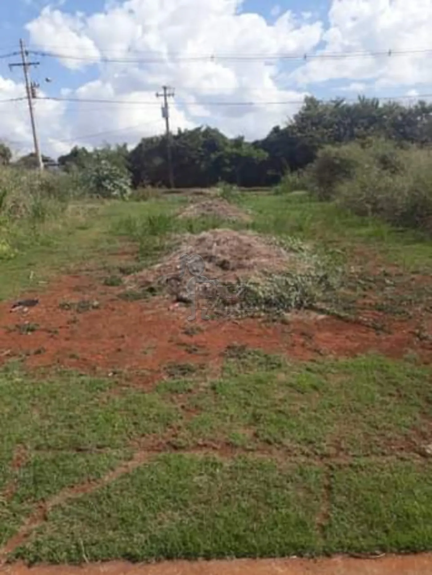 Comprar Terreno / Padrão em Ribeirão Preto R$ 160.000,00 - Foto 1