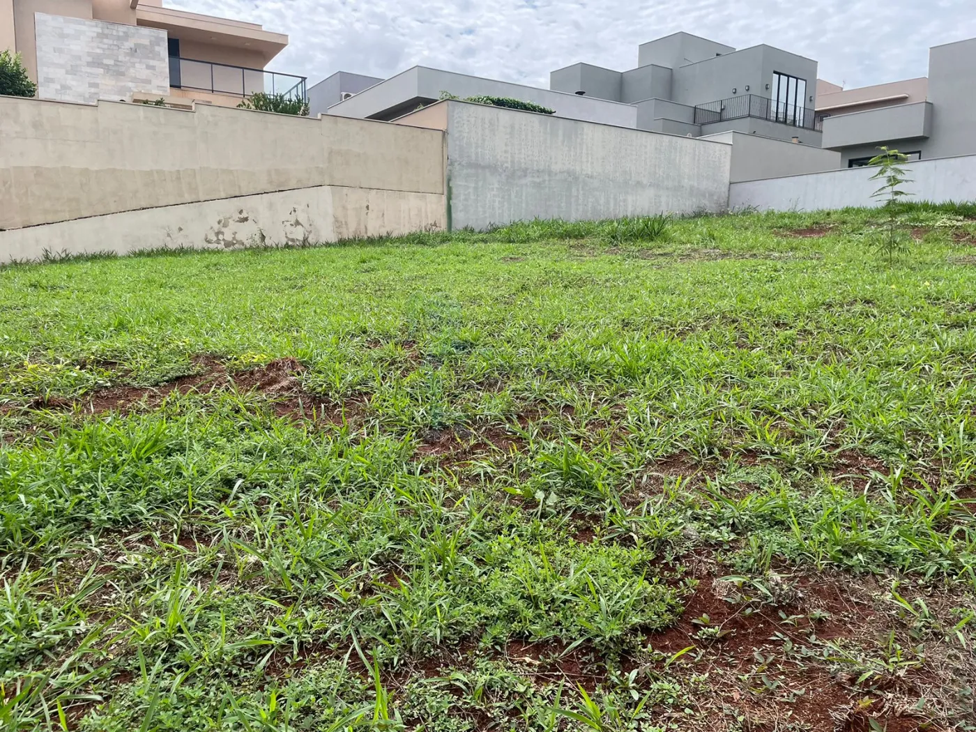 Comprar Terreno / Condomínio em Ribeirão Preto R$ 650.000,00 - Foto 3