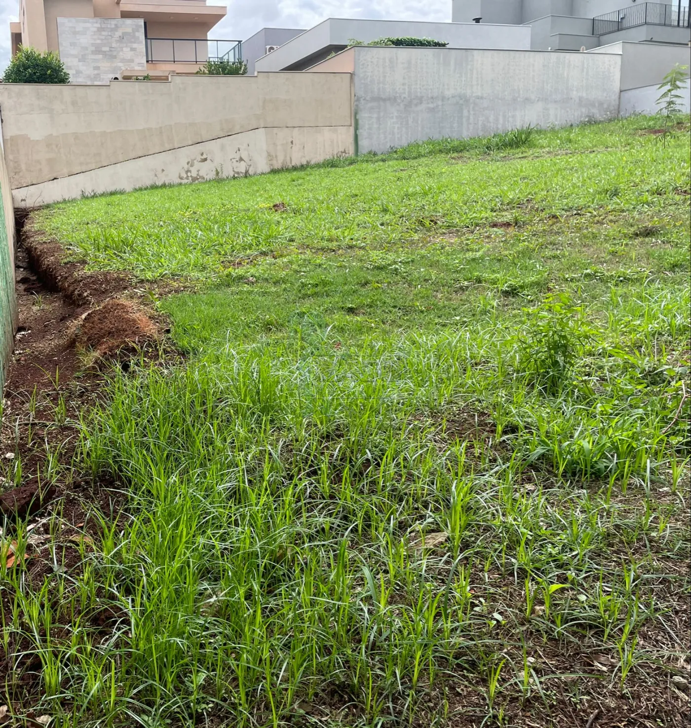 Comprar Terreno / Condomínio em Ribeirão Preto R$ 650.000,00 - Foto 4