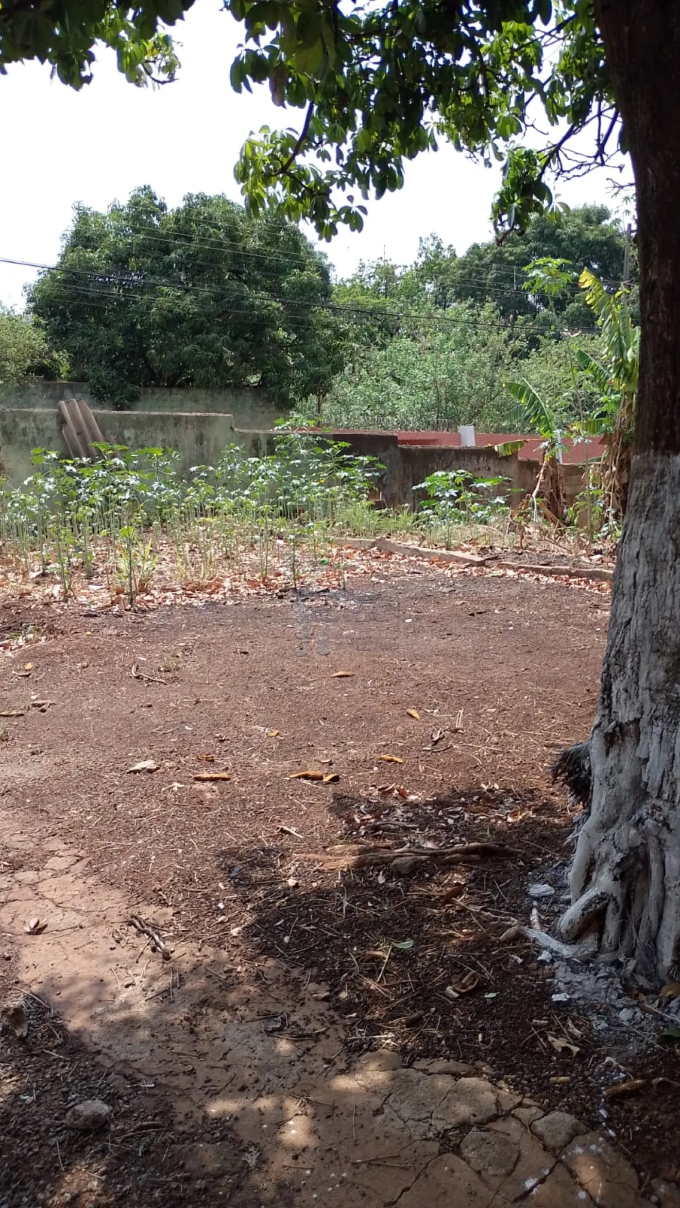 Alugar Casa / Padrão em Ribeirão Preto R$ 2.000,00 - Foto 3