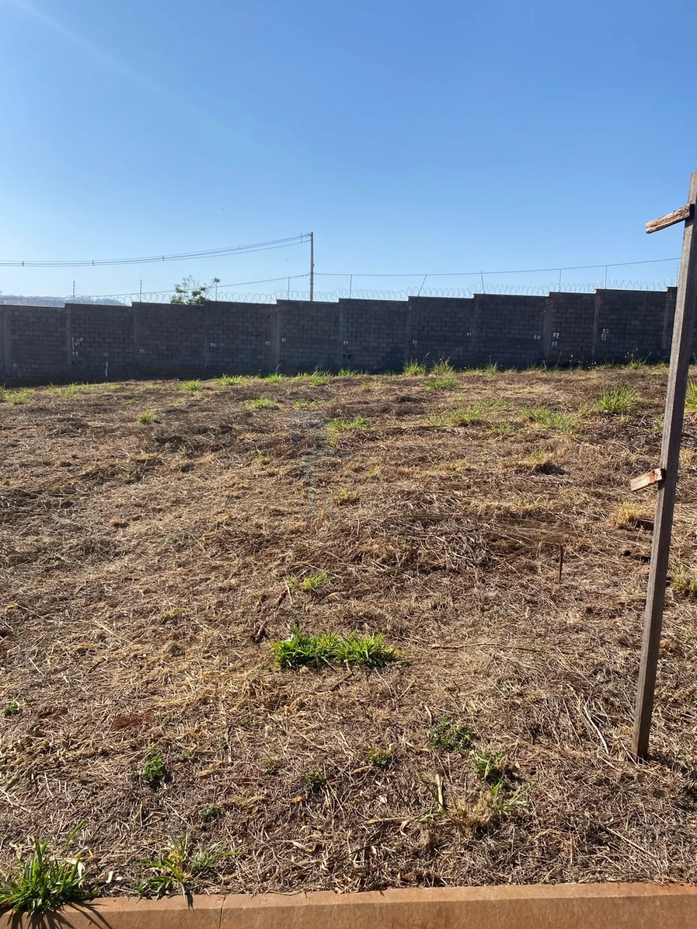 Comprar Terreno / Condomínio em Bonfim Paulista R$ 372.000,00 - Foto 1