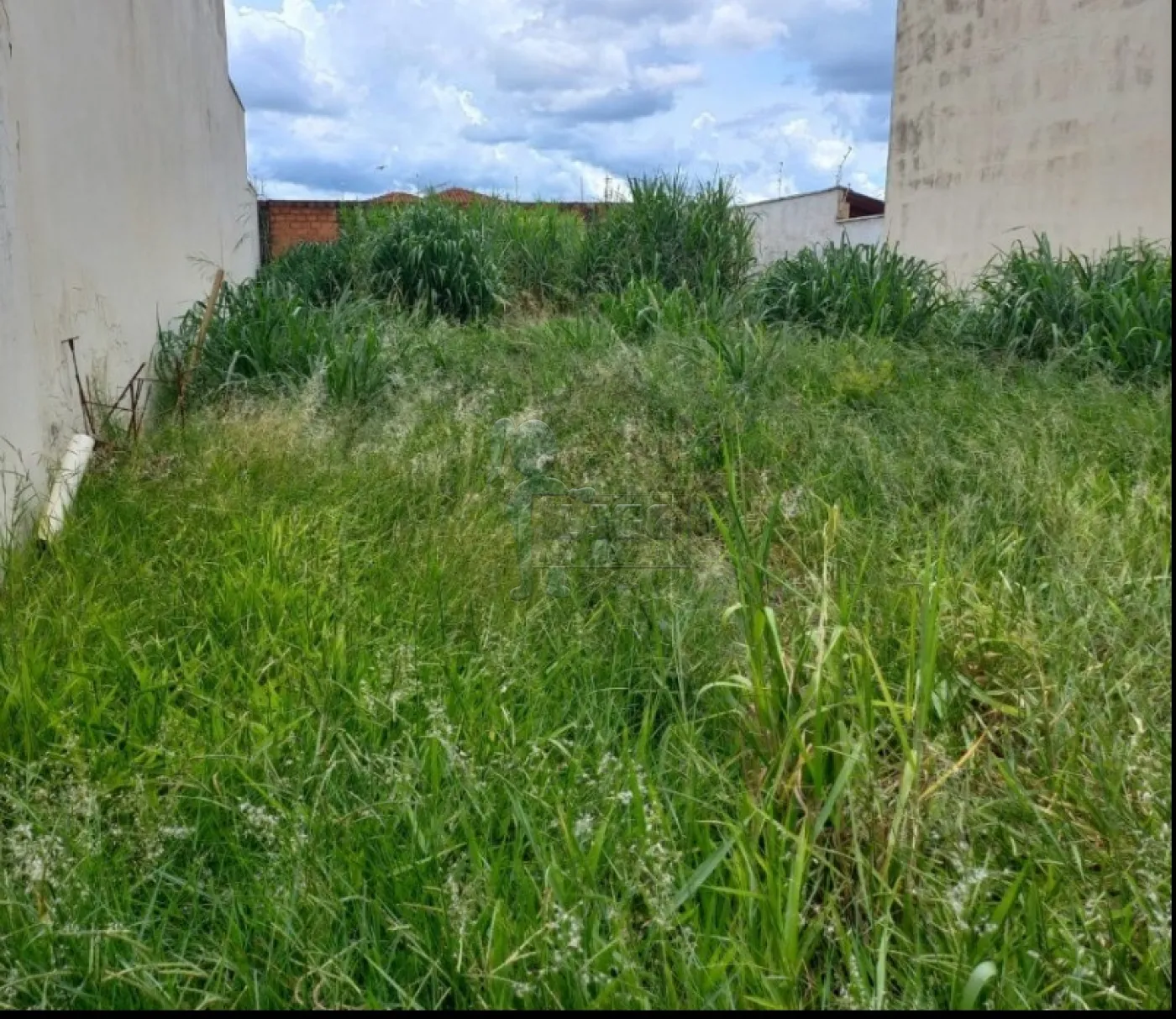 Comprar Terreno / Padrão em Ribeirão Preto R$ 320.000,00 - Foto 1