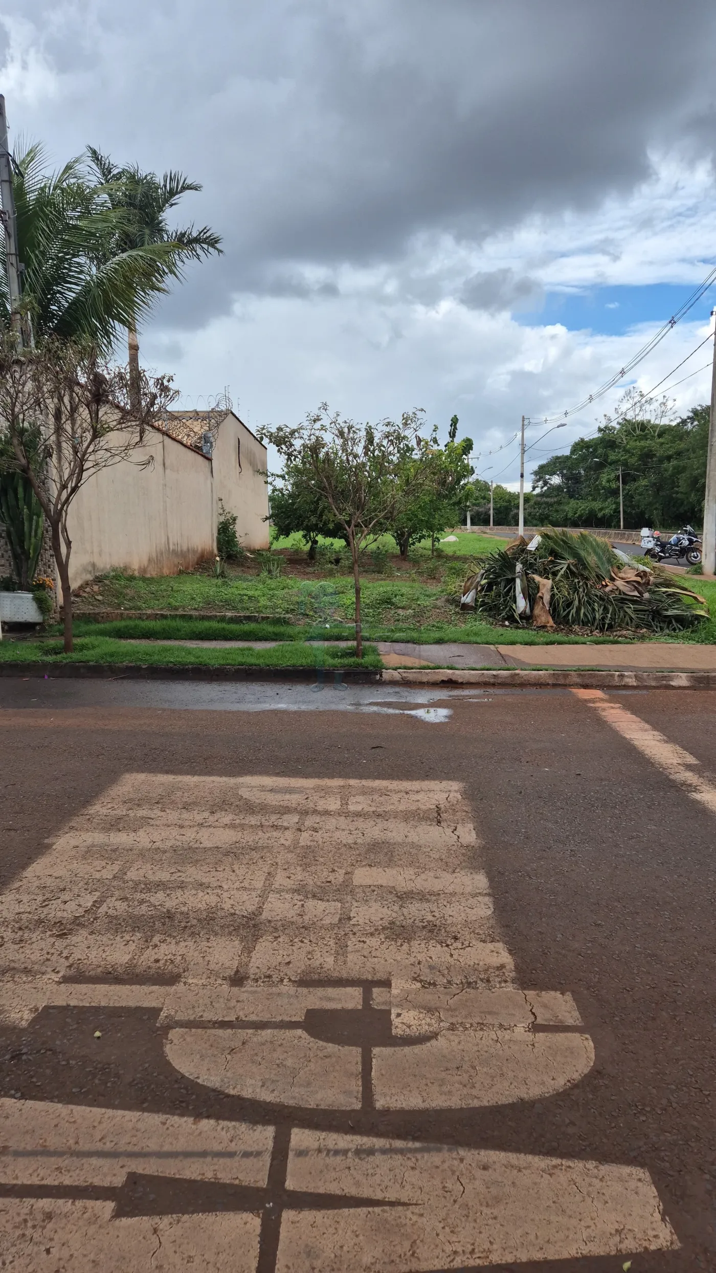 Comprar Terreno / Padrão em Jardinópolis R$ 90.000,00 - Foto 3