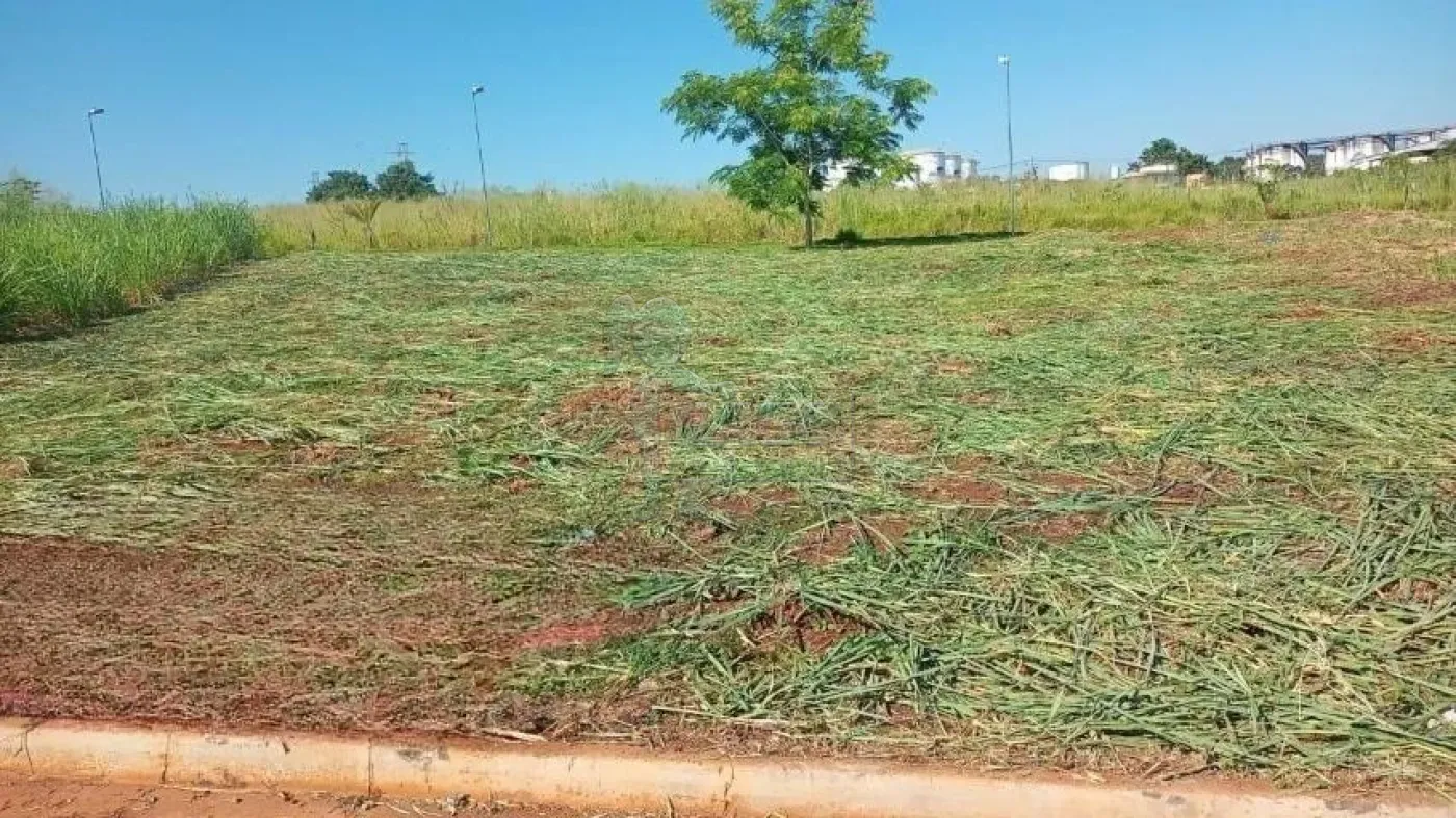 Comprar Terreno / Padrão em Ribeirão Preto R$ 286.000,00 - Foto 1