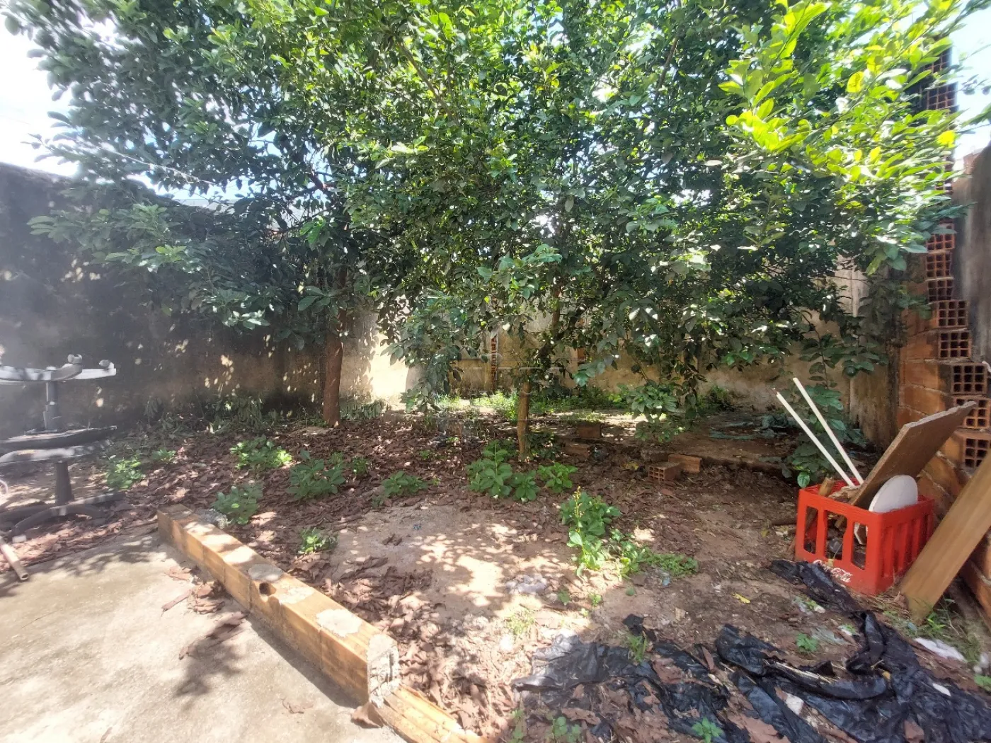 Alugar Casa / Padrão em Ribeirão Preto R$ 800,00 - Foto 14