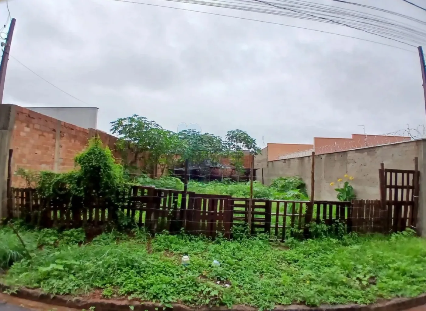 Comprar Terreno / Padrão em Sertãozinho R$ 270.300,00 - Foto 3