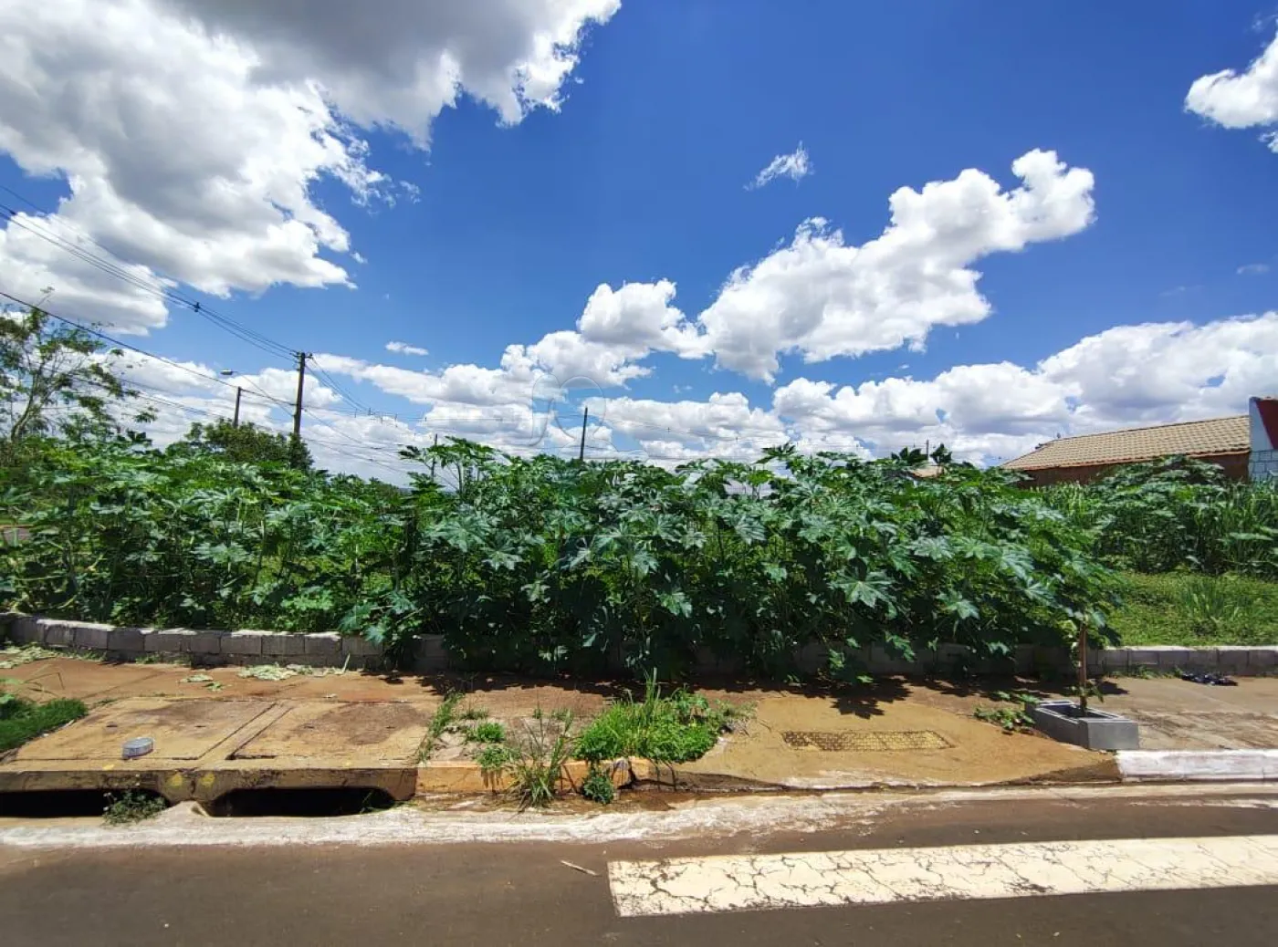 Comprar Terreno / Padrão em Ribeirão Preto R$ 190.000,00 - Foto 3