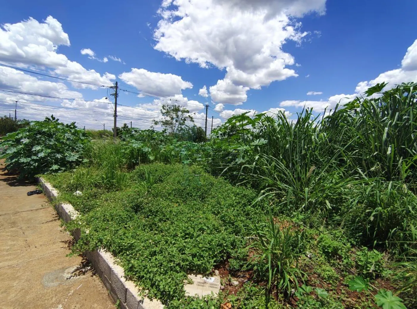 Comprar Terreno / Padrão em Ribeirão Preto R$ 190.000,00 - Foto 4