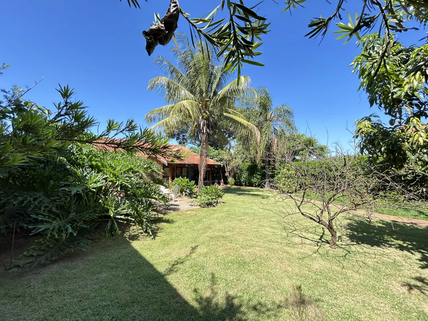 Alugar Casa condomínio / Padrão em Ribeirão Preto R$ 5.500,00 - Foto 6