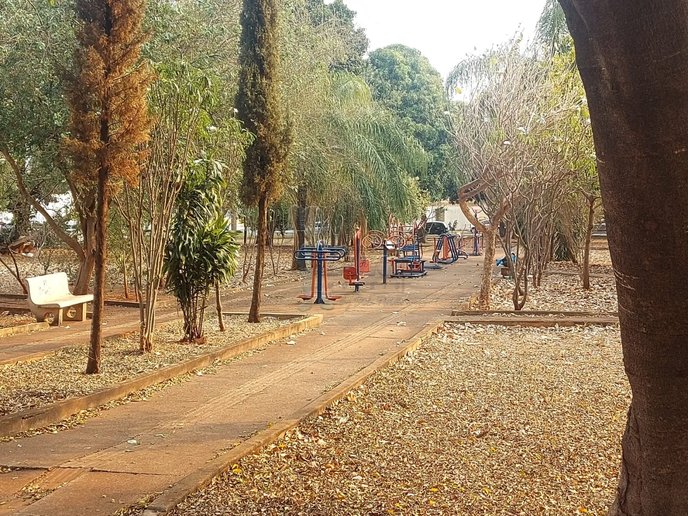 Comprar Terreno / Padrão em Ribeirão Preto R$ 340.480,00 - Foto 1