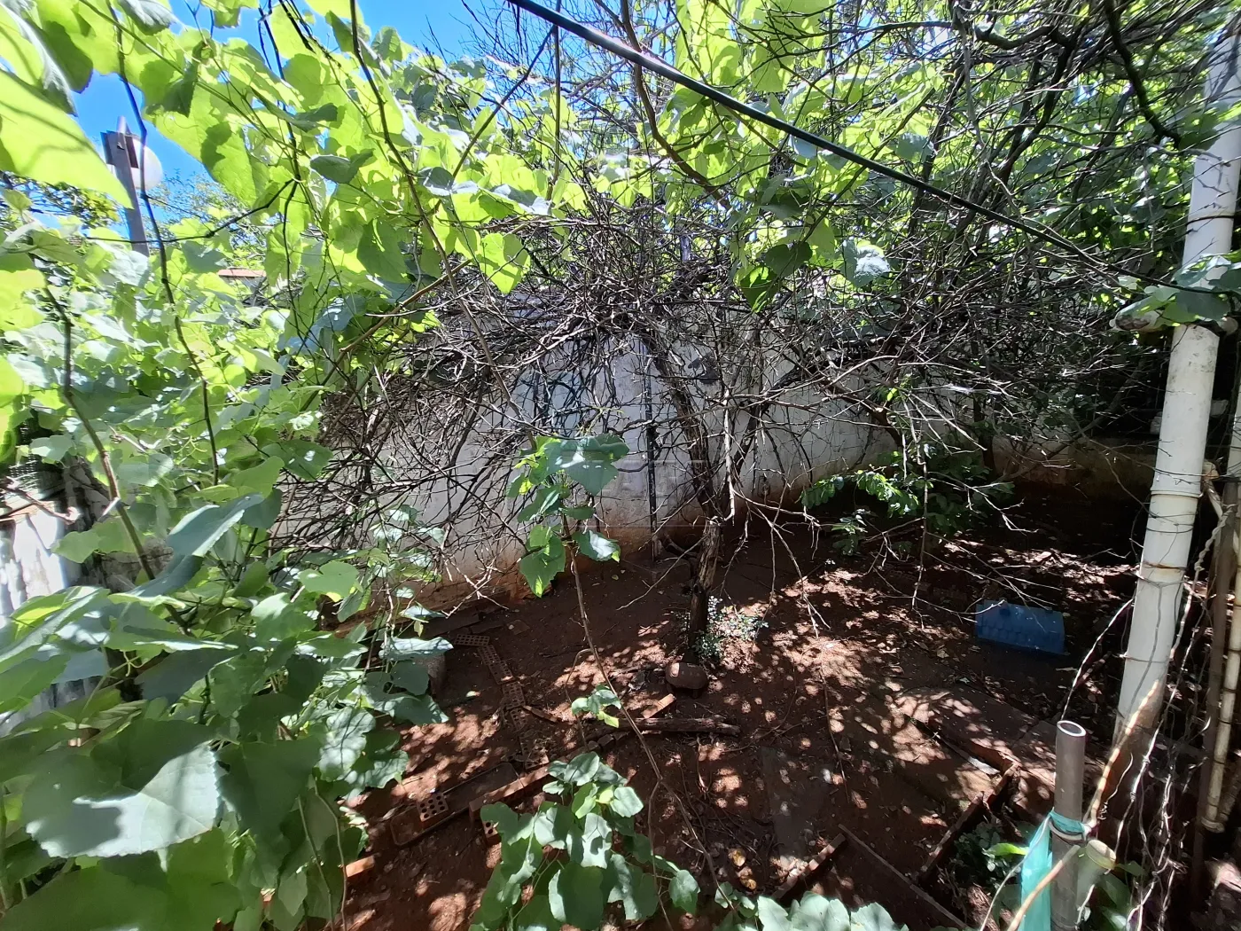 Alugar Casa / Padrão em Ribeirão Preto R$ 3.000,00 - Foto 35