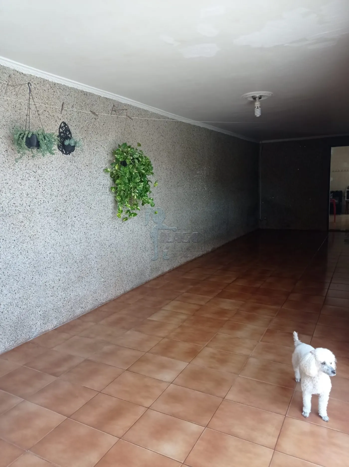 Comprar Casa / Padrão em Ribeirão Preto R$ 360.000,00 - Foto 7