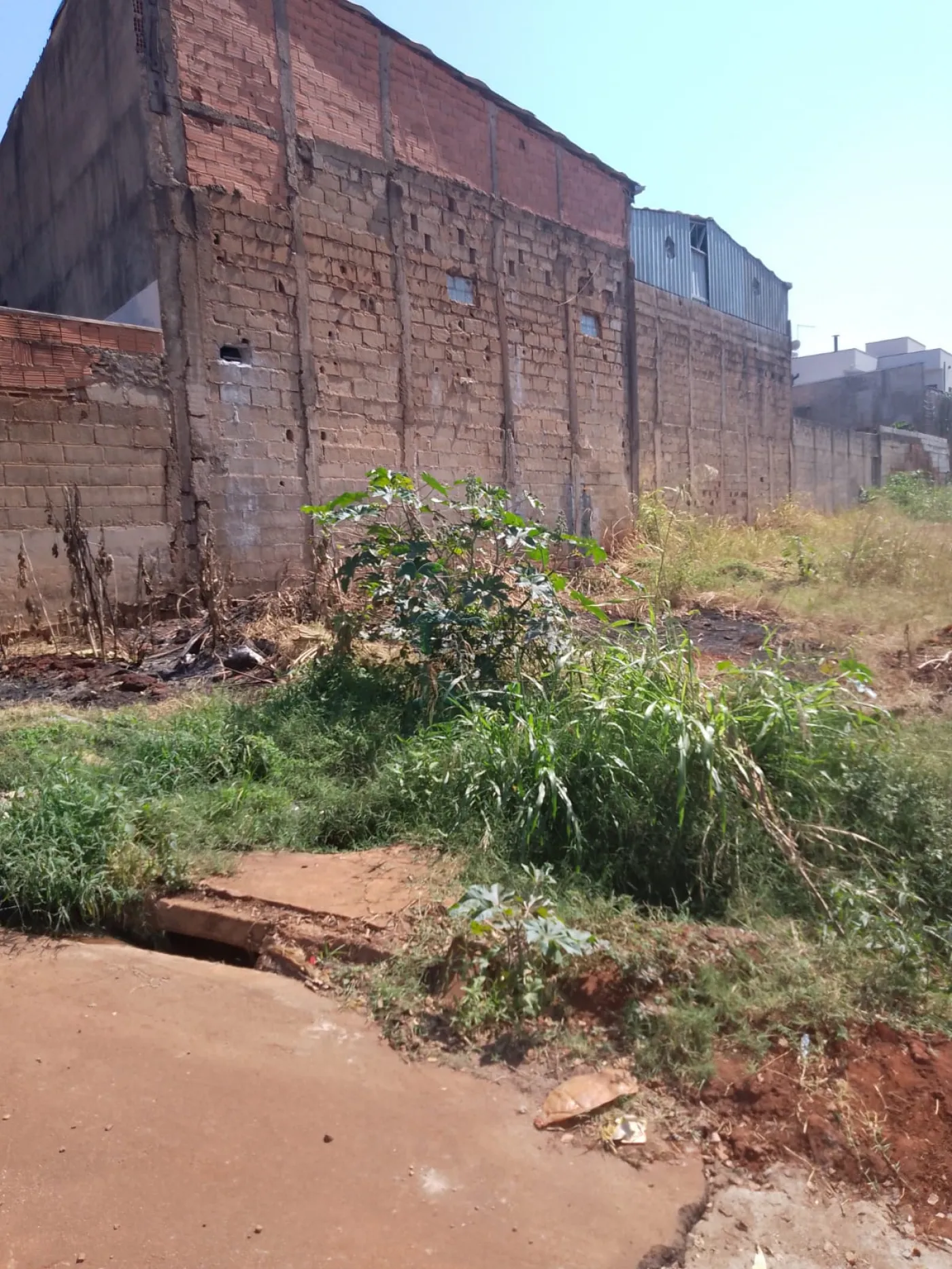 Comprar Terreno / Padrão em Serrana R$ 310.000,00 - Foto 4