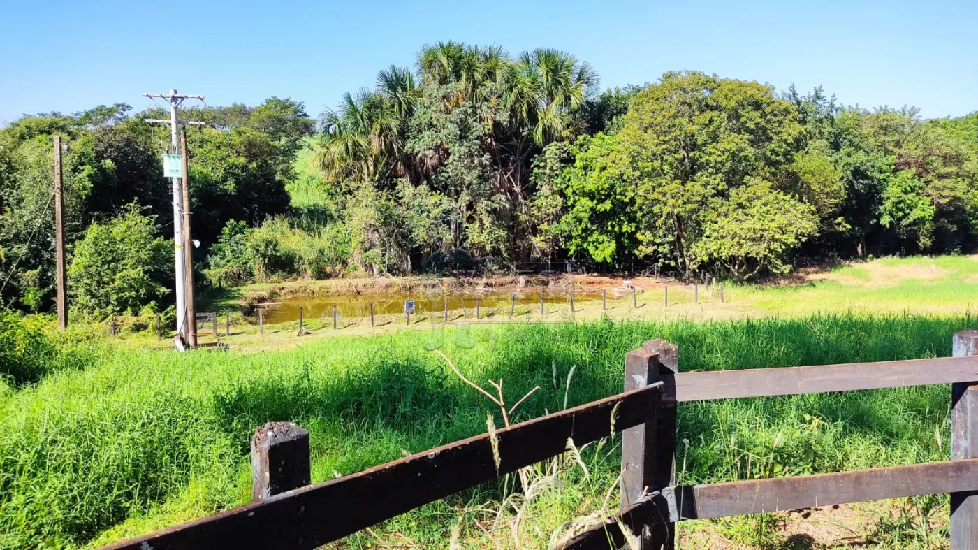 Comprar Rural / Sítio em Ribeirão Preto R$ 4.990.000,00 - Foto 1