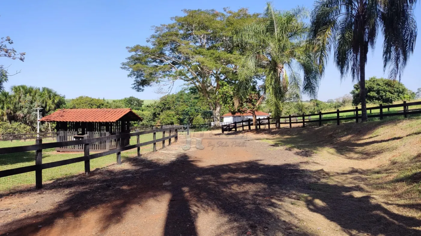 Comprar Rural / Sítio em Ribeirão Preto R$ 4.990.000,00 - Foto 3