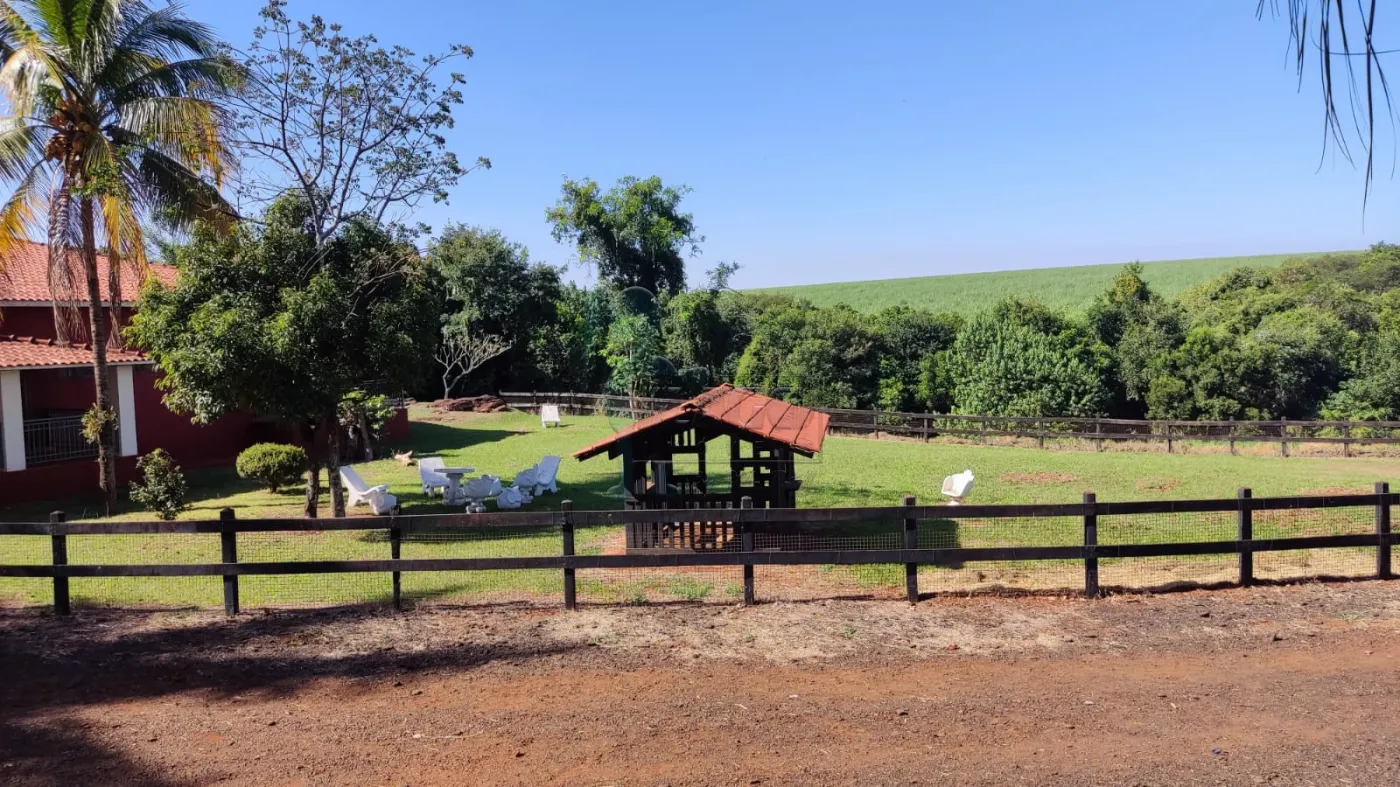 Comprar Rural / Sítio em Ribeirão Preto R$ 4.990.000,00 - Foto 6