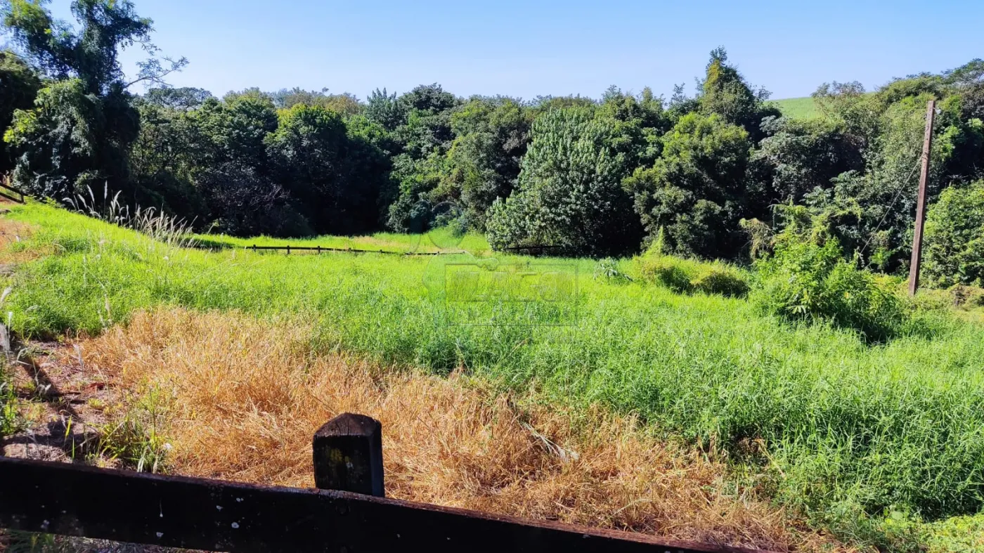 Comprar Rural / Sítio em Ribeirão Preto R$ 4.990.000,00 - Foto 10