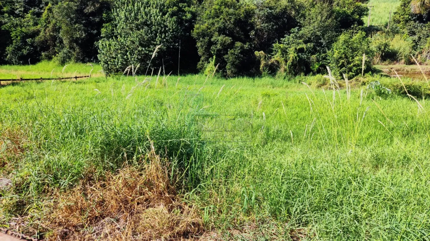 Comprar Rural / Sítio em Ribeirão Preto R$ 4.990.000,00 - Foto 11