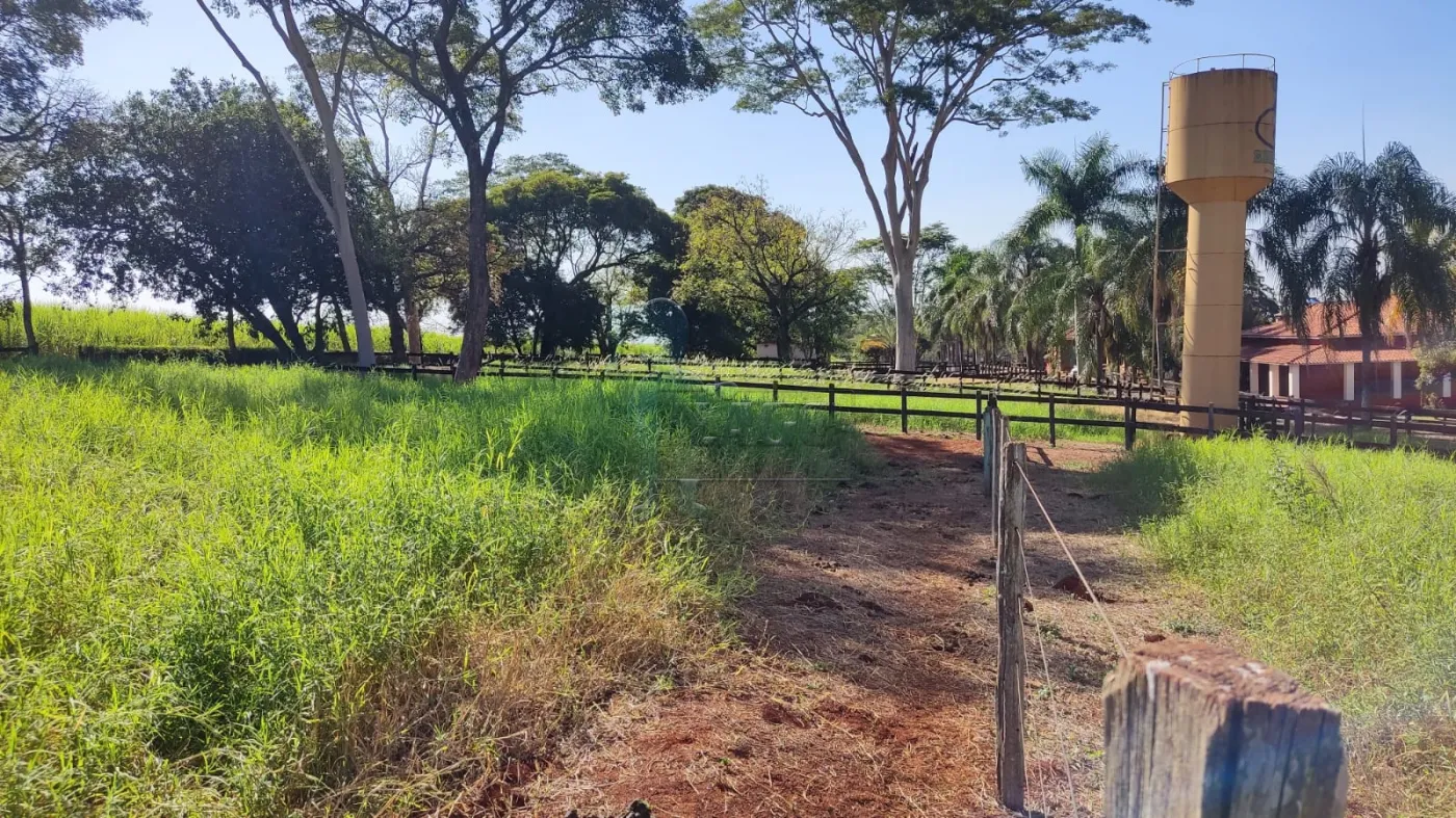 Comprar Rural / Sítio em Ribeirão Preto R$ 4.990.000,00 - Foto 15